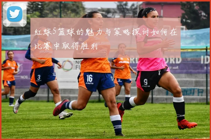 红球5篮球的魅力与策略探讨如何在比赛中取得胜利