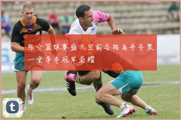陈仓篮球赛盛况空前各路高手齐聚一堂争夺冠军荣耀