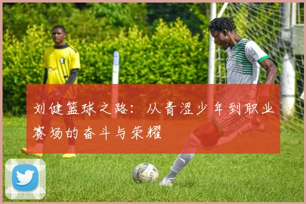 刘健篮球之路：从青涩少年到职业赛场的奋斗与荣耀